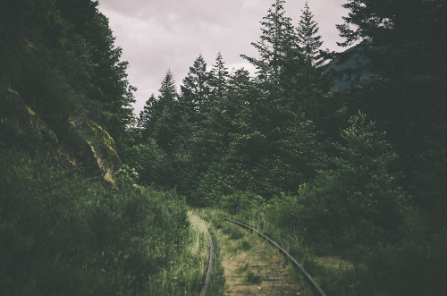 natureac:  Nature Photography