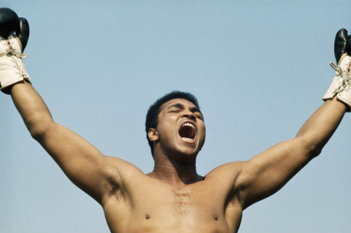 queens-and-pharaohs:  nevver:  Dead at 74, Muhammad Ali  RIP to a black legend, a black hero. 2016 man. What a year. ~Hannah