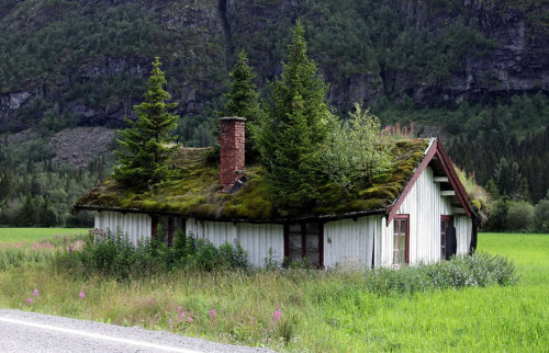 Sex sixpenceee:  An abandoned home located in pictures