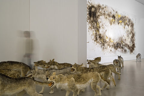 doctornsara: davidgilmoursmanboobs:  sixpenceee:  Cai Guo-Qiang takes an interesting look at pack mentality with his amazing installation piece, “Head On”. Striking in its size and energy, “Head On” consists of ninety-nine life-like wolves constructed