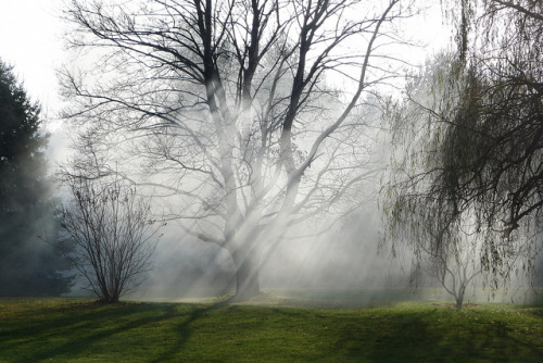 Fog Patches Dissipating by ~EvidencE~ on Flickr.