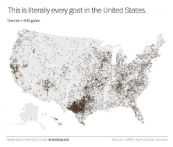 Asgardreid:  Flightcub:  Washingtonpost:  Today In News.     There’s A Big Goat