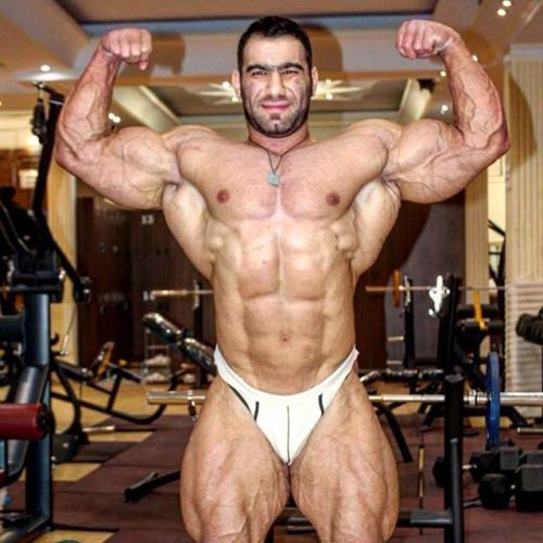 drwannabebigger:  Ayat Bagheri