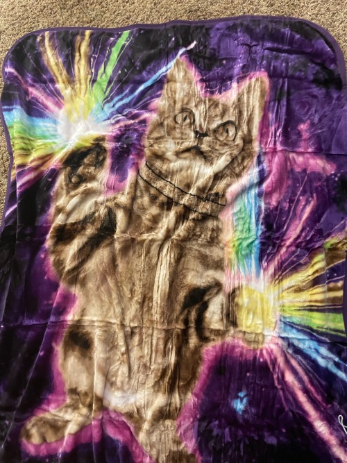 Fleki Would Definitely Have A Blanket Like This