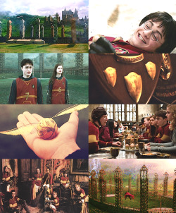 theolympiansdaughter:  Harry Potter + Quidditch 