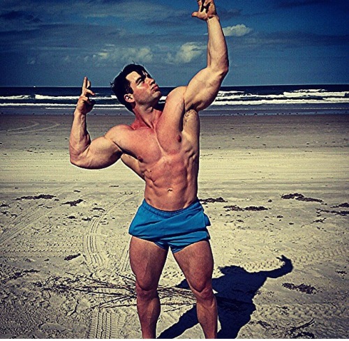 hejira33312:  Jason James Lowe, one of the best looking bodybuilder I have ever seen!