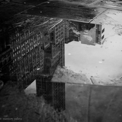 Building Stories - VIII