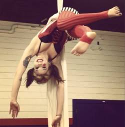 dakoa:  This happened. Harley Quinn on silks.