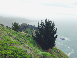 expressions-of-nature:  west coast, best