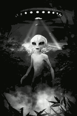 letslivethetrippylife:  ~~FOLLOW ME TO TRIP~~ 
