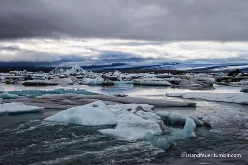 Drifting ice Glacier pieces drifting out of the glacier lagoon Jökulsárlón in Iceland.©islandfeuer 2