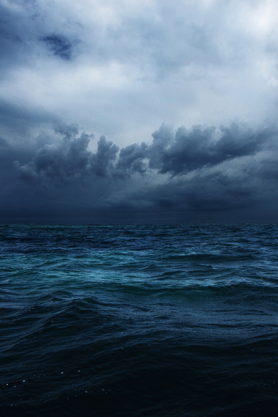 iamsirmatthew:  Nature | Photography | Vertical 