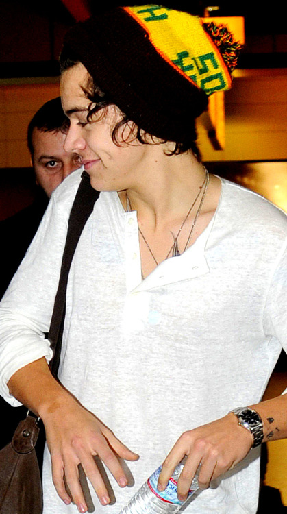 larrygang-ordie:  stopithazza:  Harry Styles Beanie Appreciation (part one)   his bear one tho omg 