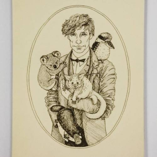 migraine-sky:I think Mr Scamander would like it there in Australia ❤ animals: koala, kookaburra, pla