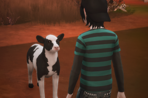 ladykendalsims: Evie: Oh! Hi! Look at you! You’re so sweet! I’m Evie. Nice to meet you, 