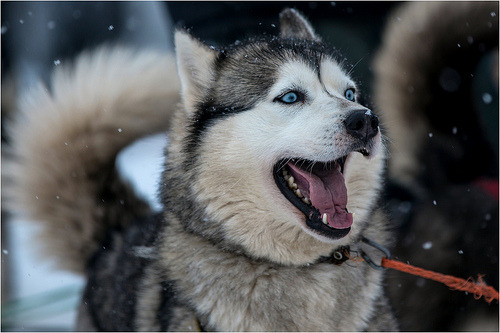 brutalgeneration:  By serg-157