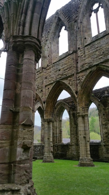 hattedhedgehog:Tintern Abbey ruins, Wales.