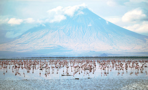 The pink and petrifying lake Natron in Tanzania