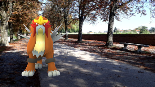 skittycandy:An Entei in Bellchime Trail.