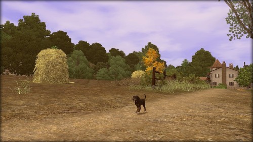 Country Isolation. For dogs, and sims.