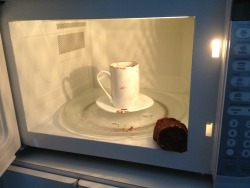 scoutblu:  starrypier:  MUG CAKE: 5TH ATTEMPT  DID IT JUMP OUT OF THE CUP 