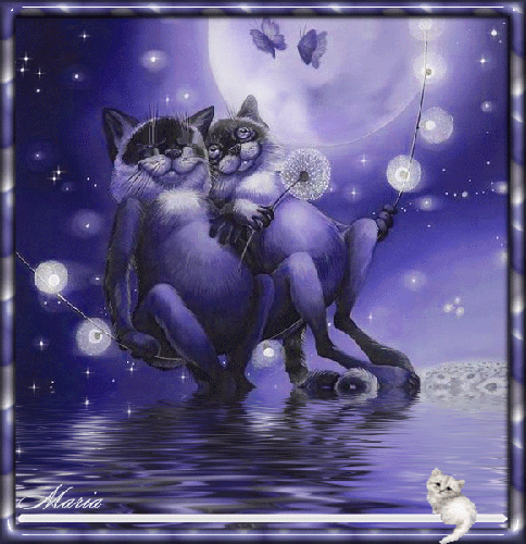 Чудесны лунные мартовские ночи сказочным кажется ночной. Анимированные открытки с кошками. Волшебные котики. Мартовская ночь. Мартовский кот.