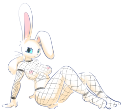 notfarts: random ass bunny in fishnets c: