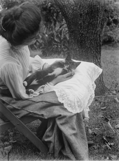 catsofslv:  Mrs Batten & Kitten, 1904. Mark James Daniel, from the Mark Daniel’s photographs of family, friends, scenes and events in Melbourne, 1898-1907. 