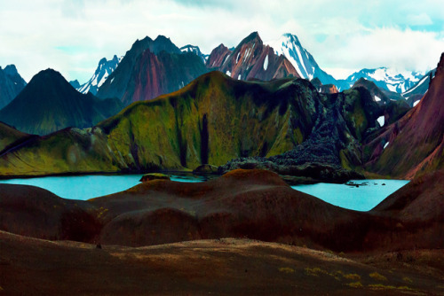 jedavu:Vibrant Painterly Nature PhotographsBrendan Pattengale’s obsession for colour combined 