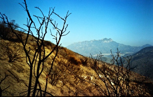 Fire Scars, Sandstone Peak in the Distance, Point Mugu State Park, California, 1990.I have recently 