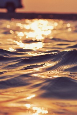 e4rthy:  Golden Waves by Seascapes and Shorelines