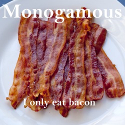 thethetwistedone:  gilded-s0ul:  eroswolf:  puckotg22:  wallywest89:  How to get a straight guy to understand common gay/sexual/relationship terms… use bacon!  Perfect gay bacon post is perfect.  LOLHilarious !  I haven’t seen this post in forever