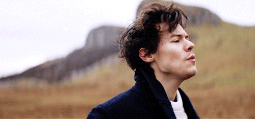 harryesque: x