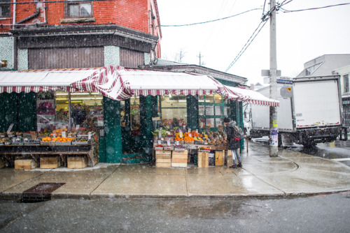 Spring in Toronto