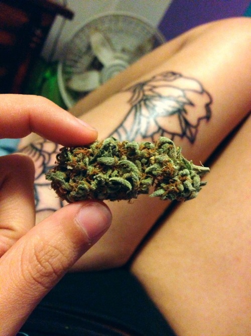 good vibes, good times