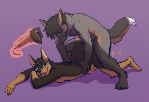 seferth:  tao-rose:  gayfurfans:  Canine doggy style   Knot In as requested for asertghjxxxxx  >///> I may have to get a canine based toy from bad dragon, because knots are just too sexy  to…. hot<3 