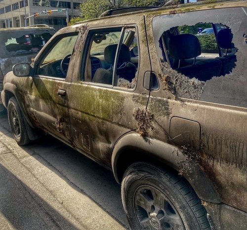  Vehicles on set of The Last of Us in downtown Calgarysue_dothingsalways | Instagram 