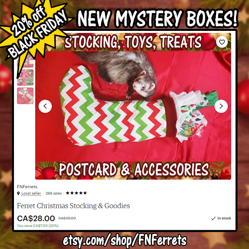 MY CHRISTMAS MYSTERY BOXES ARE OUT!Business Boxes are the best way to keep some excitement in your f