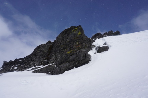 sentinel-wraith:Road to Pebble Creek and Camp Muir, Mt Rainier, Wa5/6/17