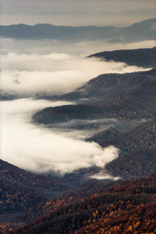 refluent:  Engulf (by param_s) 