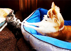 I bet these two could get along well&hellip;