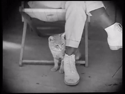 catskewl: In honour of International Pet Day! Here’s a silent film cat from “Victory”, 1919.