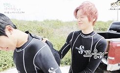 lhoe:  make me choose between: anon asked changjo or and niel 