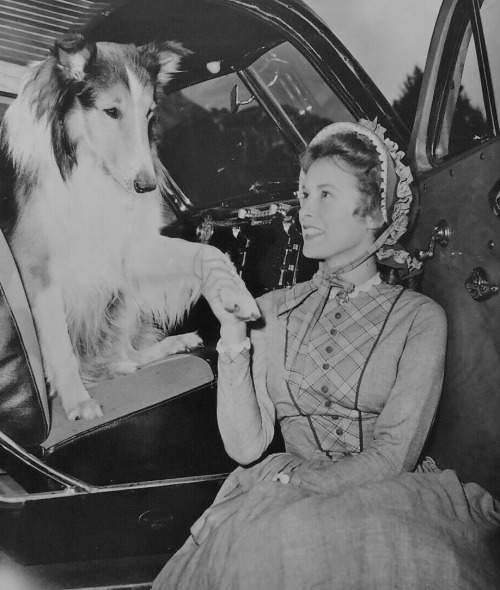 olivethomas: Janet Leigh and Lassie, 1948