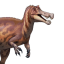 queer-irritator