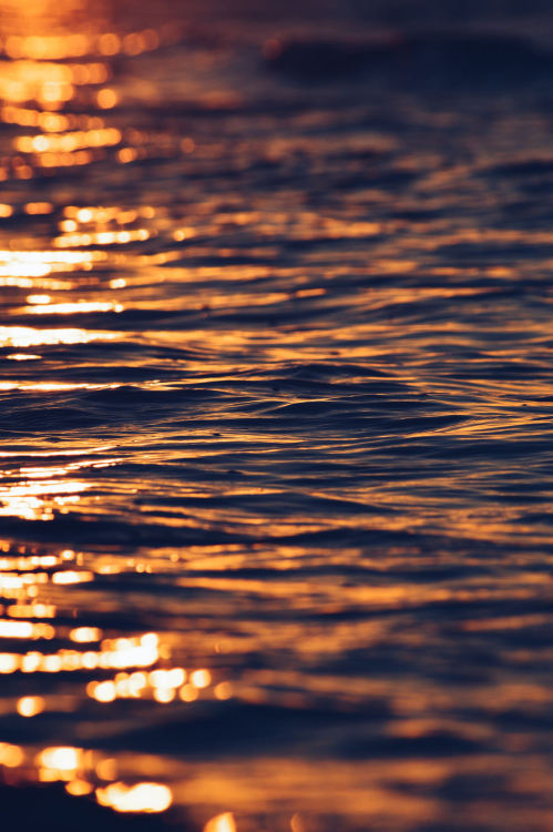 lensblr-network:  by Jaimie-Lee Smith.  (jaimie-leesmith.tumblr.com) 