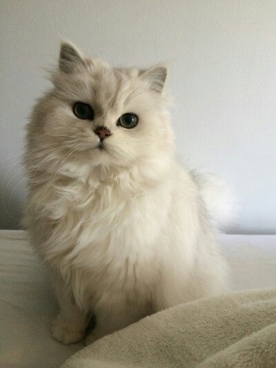 magics-secrets:  love you 