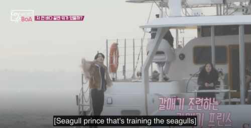 kibaems: kim kibum: seagull prince