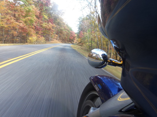 two-wheeled-therapy