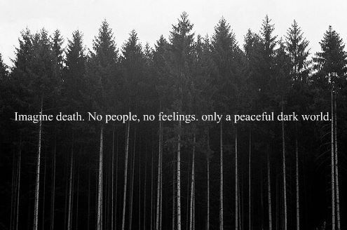 the-personal-quotes:  Love quotes? you must follow this blog!